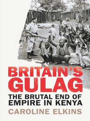 cover image of Britain's Gulag